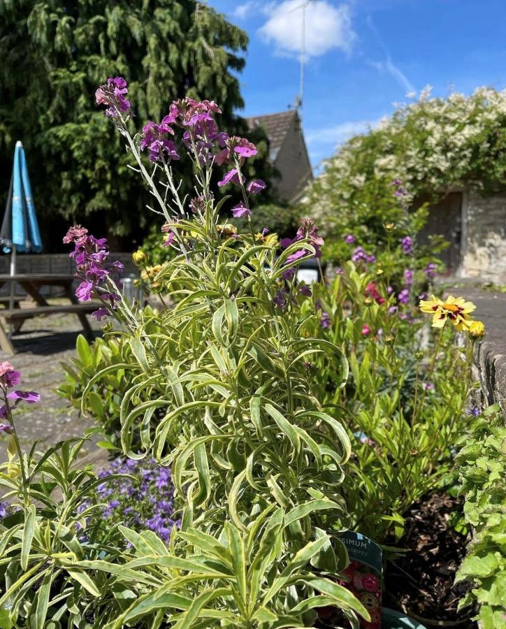 The Bell At Old Sodbury Hotel Chipping Sodbury Ngoại thất bức ảnh